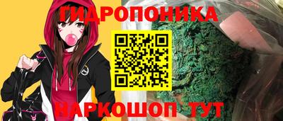 дурь Гусиноозёрск