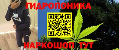 дурь Гусиноозёрск