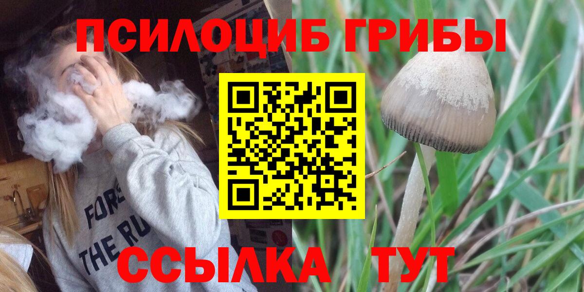 Псилоцибиновые грибы прущие грибы Мыски